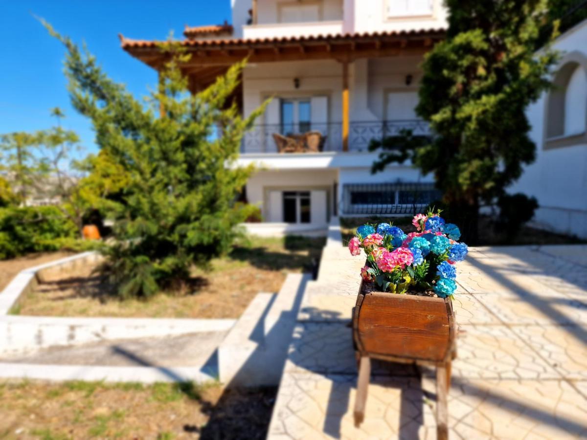 Villa Liana : Luxury Villa With Fantastic Sea View, Near Airport Pórto Ráfti Exteriér fotografie